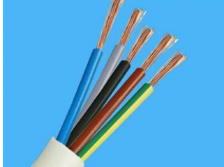 17231903922778.png image.png