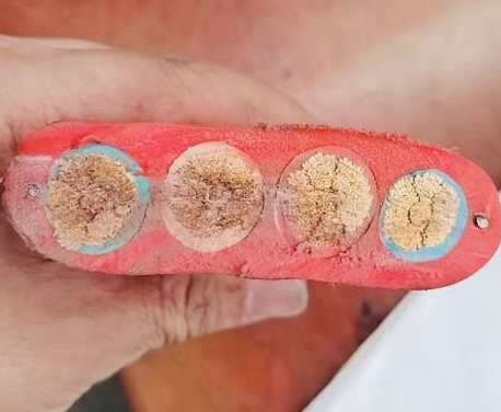 17255019895168.png image.png