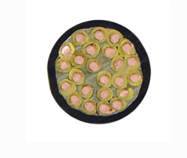 17260201395270.png image.png