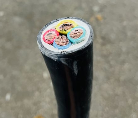 17261235074748.png image.png