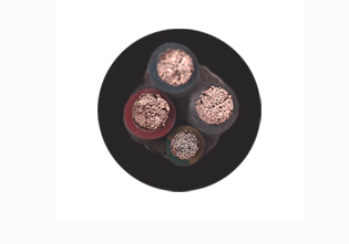 17291496906735.png image.png