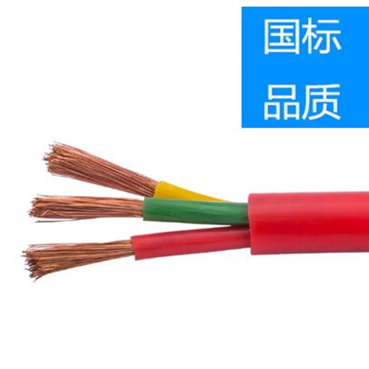 (ZR)-HGVFP2高溫電纜