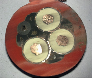 17306221068481.png image.png