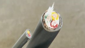 17313941785658.png image.png