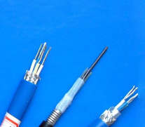 17403613672846.png image.png