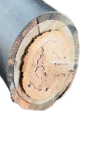 17421961301778.png image.png